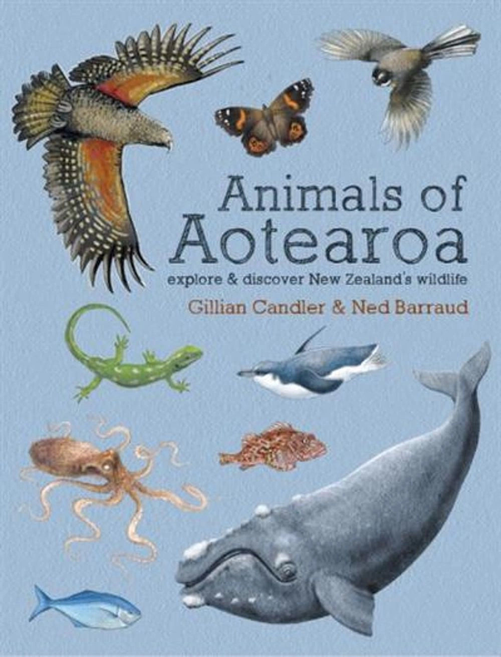 Animals of Aotearoa: New Zealand's Wildlife | BOOK