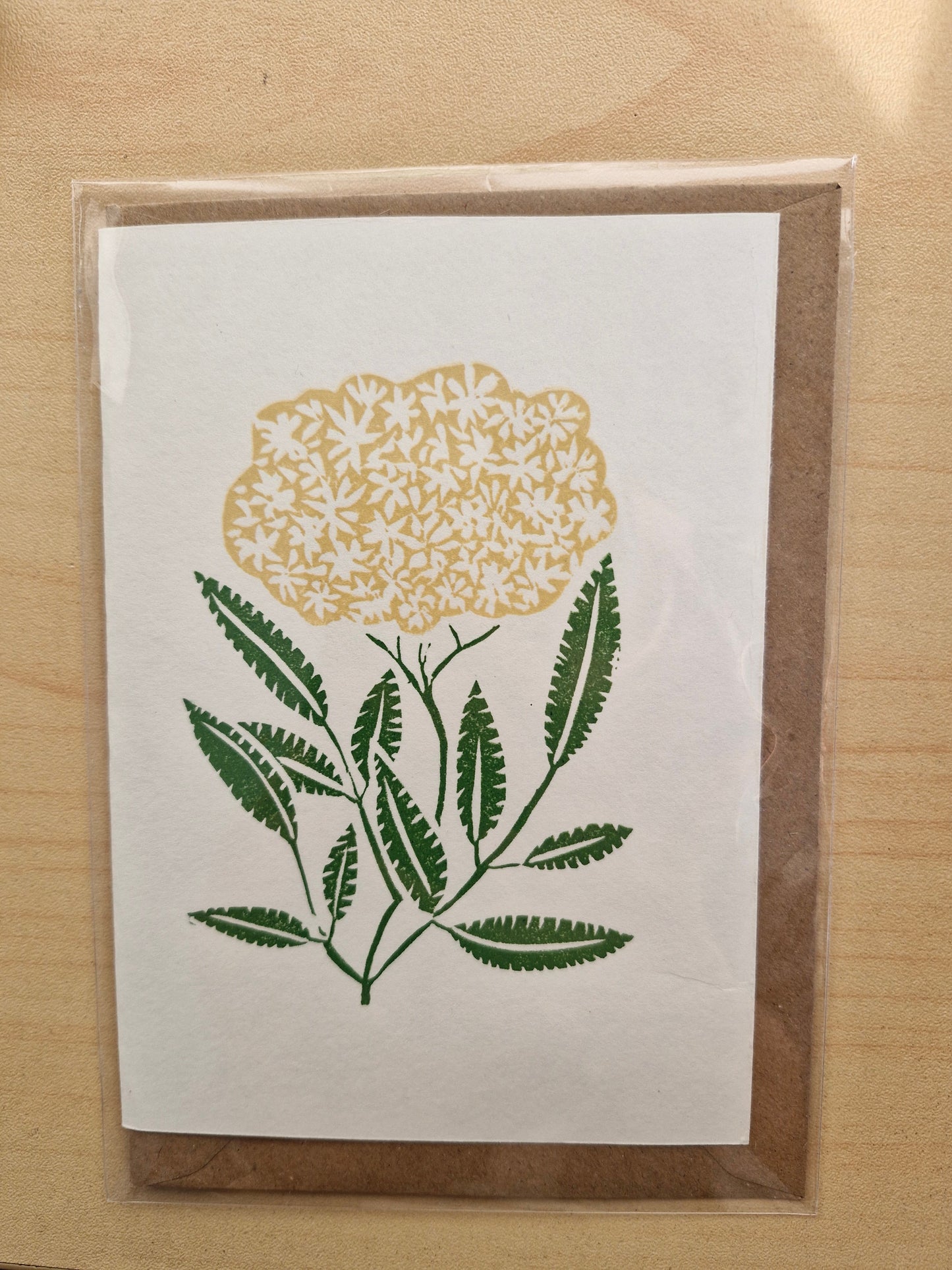 CARDS by Abby | REVOLOGY