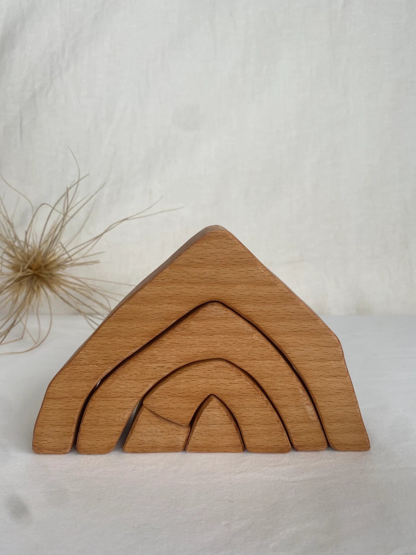 Cathedral Coves Wood | GOOD DAY