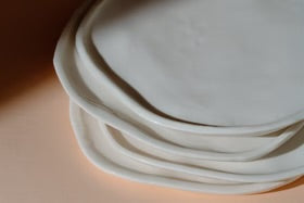 Dinner Plate | SHANNON COURTENAY