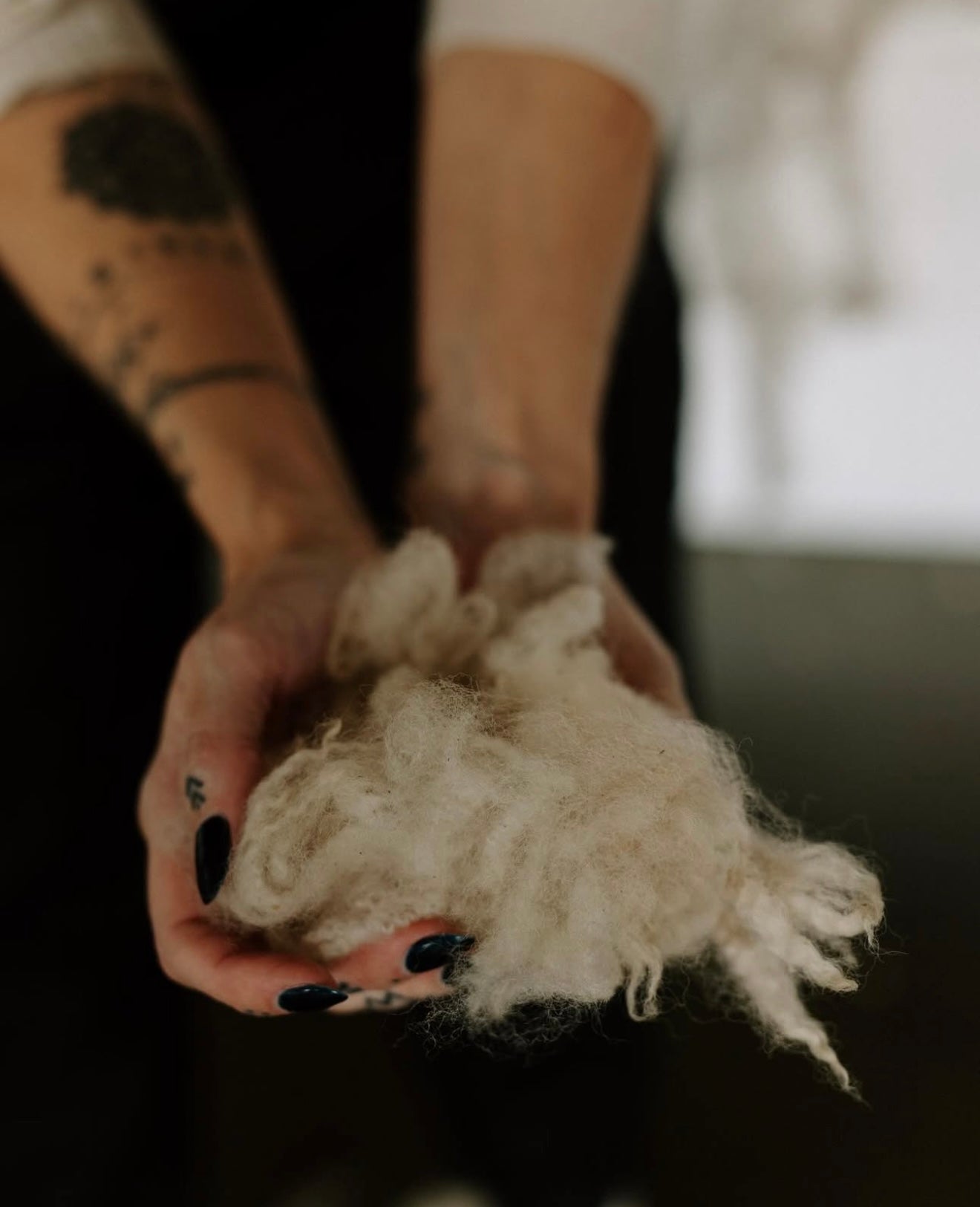 Hands holding raw possum fibre used in merino wool socks