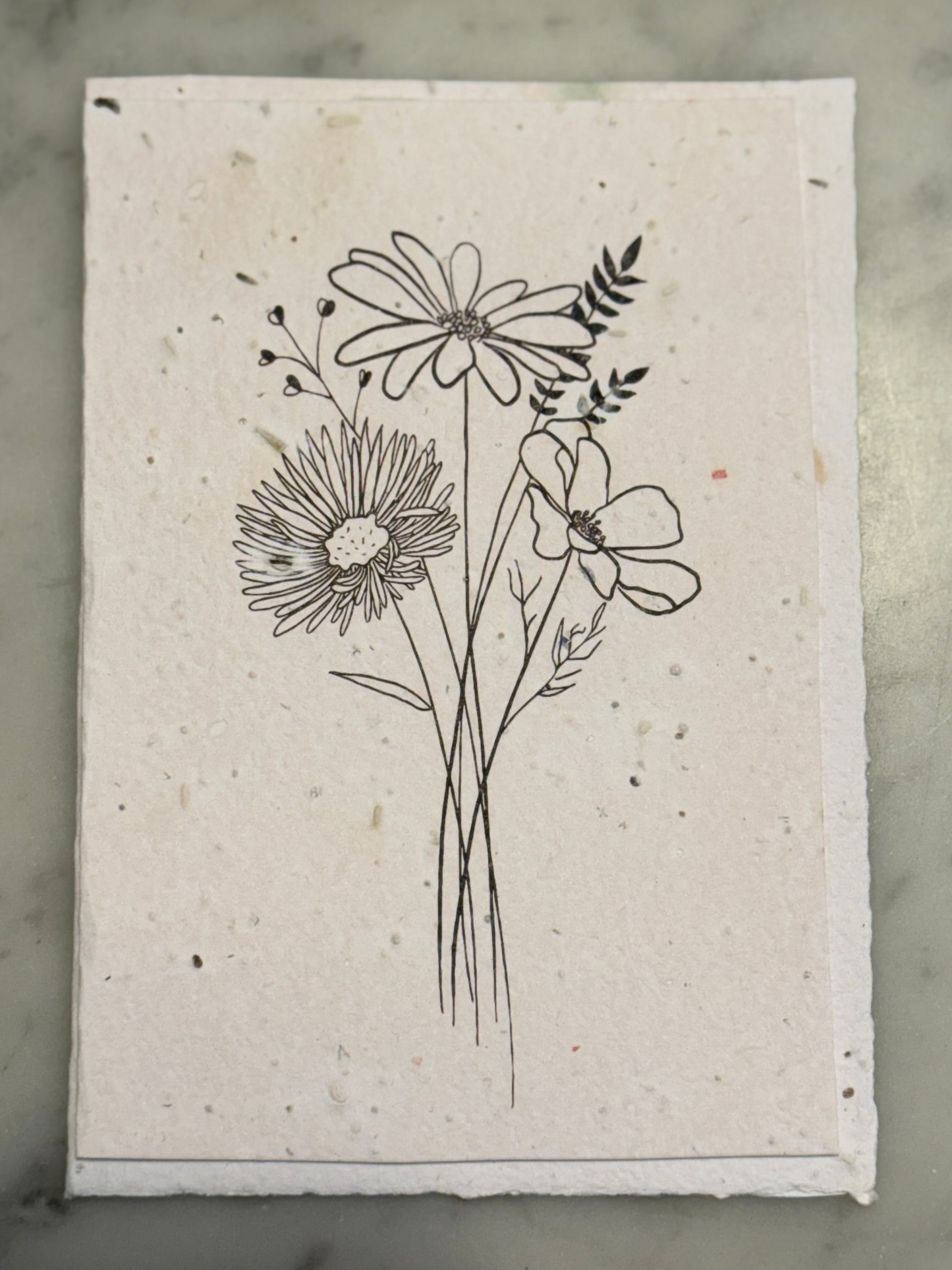 Plantable Cards