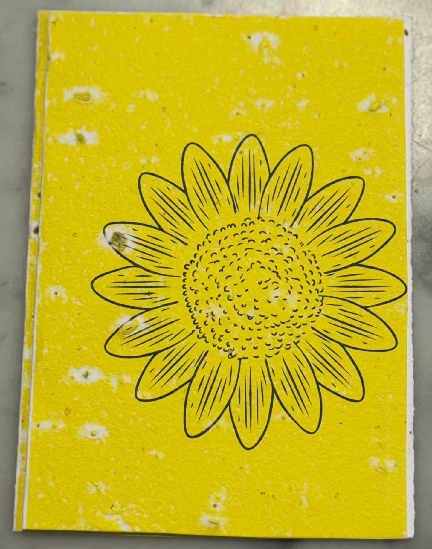 Plantable Cards