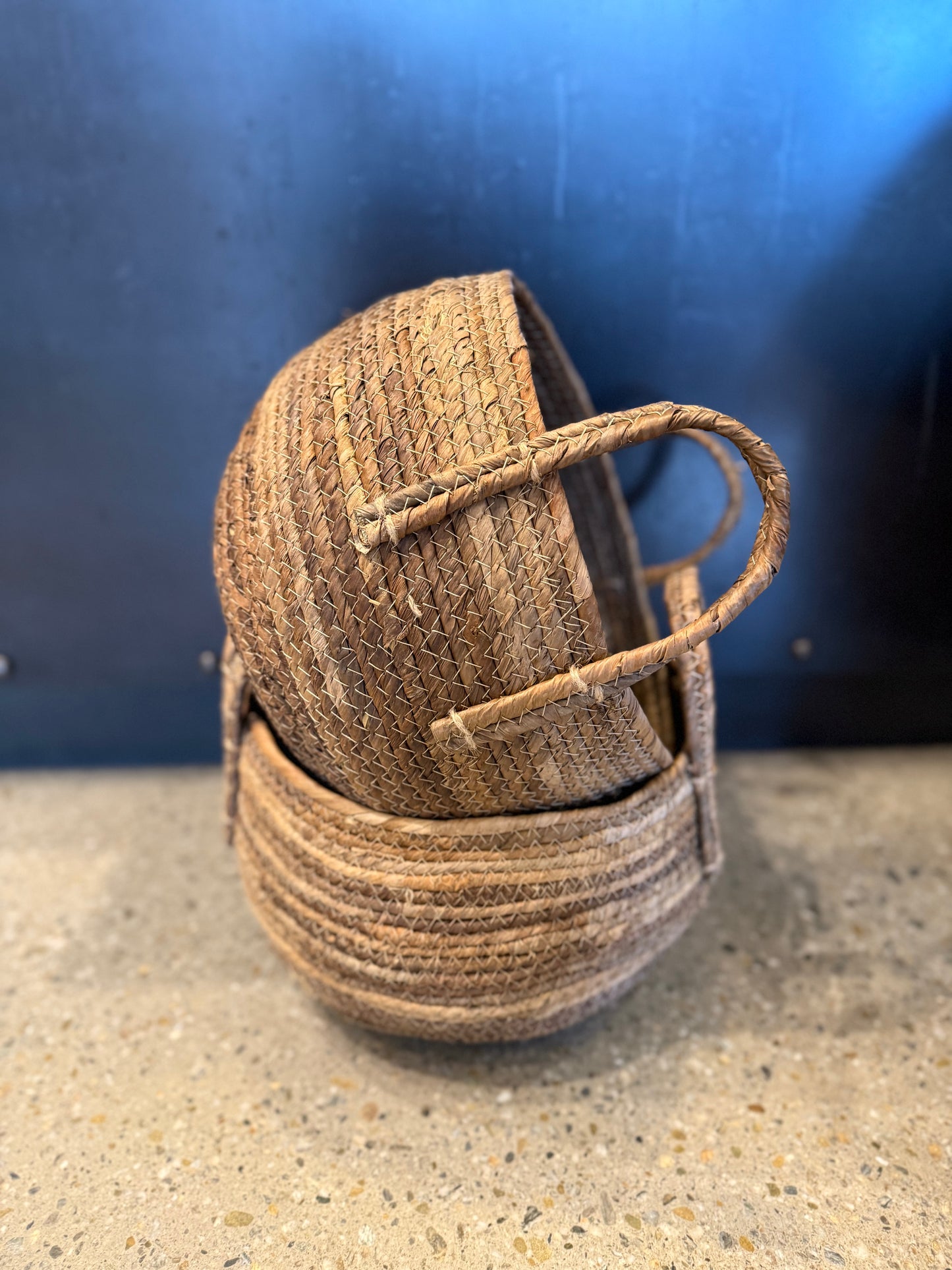 Storage Basket w/ Handle | REVOLOGY