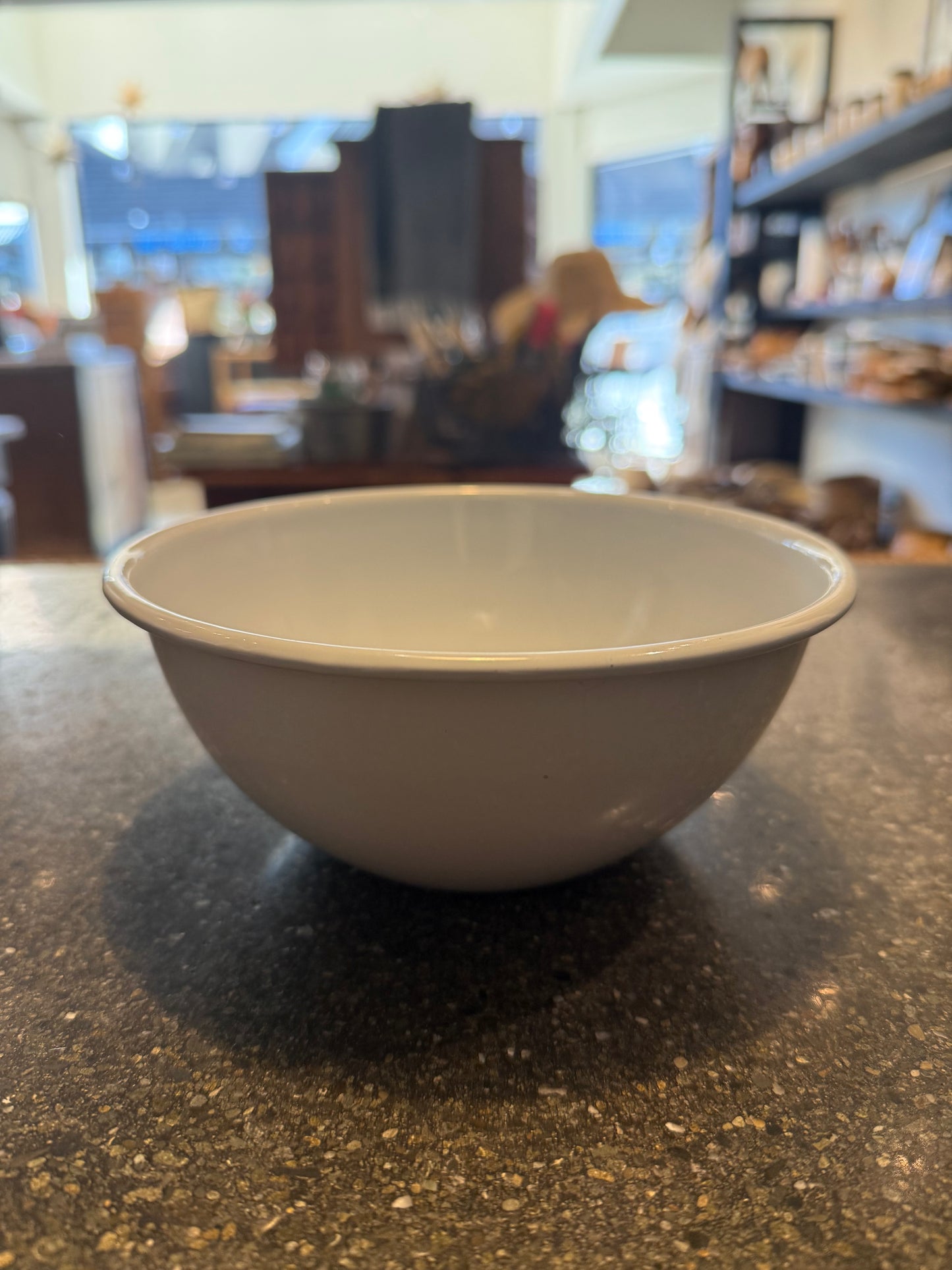 ENAMEL NOODLE BOWL | FALCON