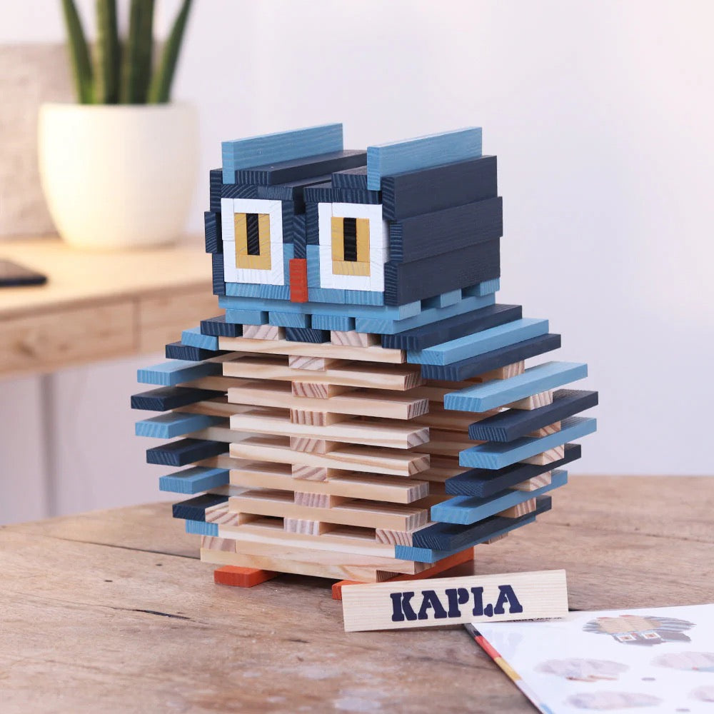 KAPLA Owl Case -120pcs