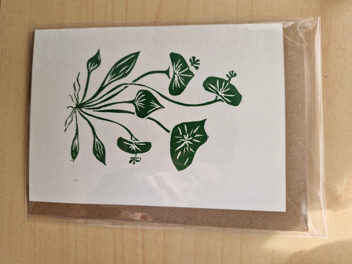 CARDS by Abby | REVOLOGY