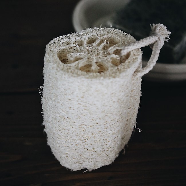 RE+Newable Loofah Exfoliant | REVOLOGY