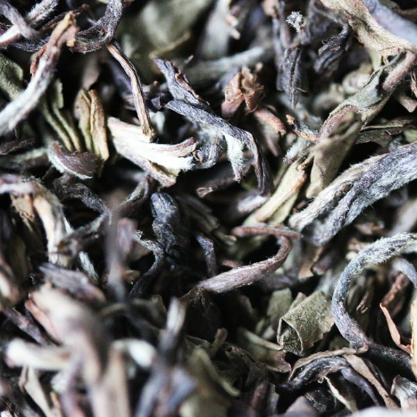 First Spring Flush Black Tea | 75g Jar (55 serves)