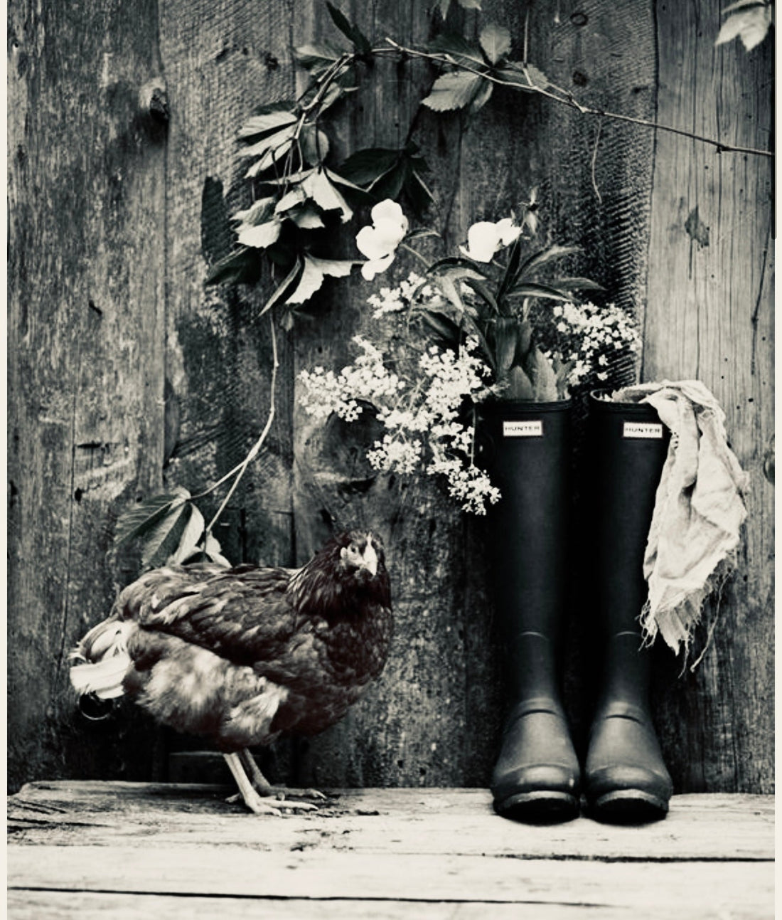Garden and outdoor living at Revology NZ