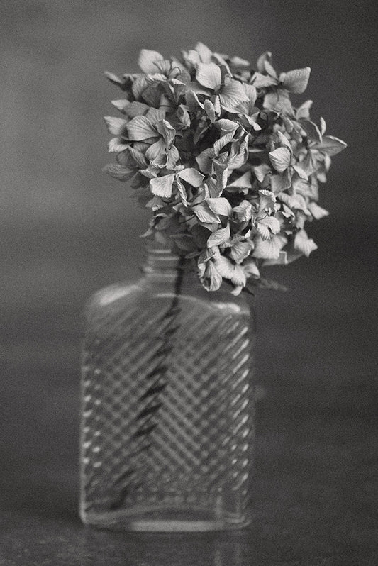 Housewarming gift ideas from Revology NZ
