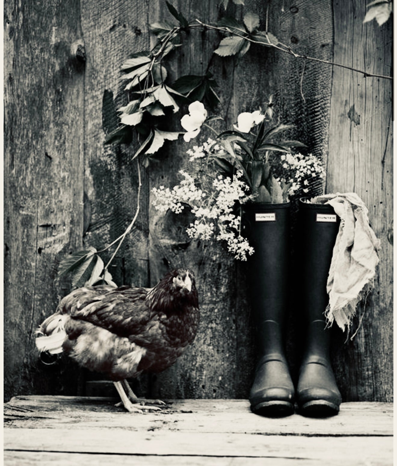 Garden & Outdoor