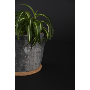 Cork Trivet/Saucer | REVOLOGY