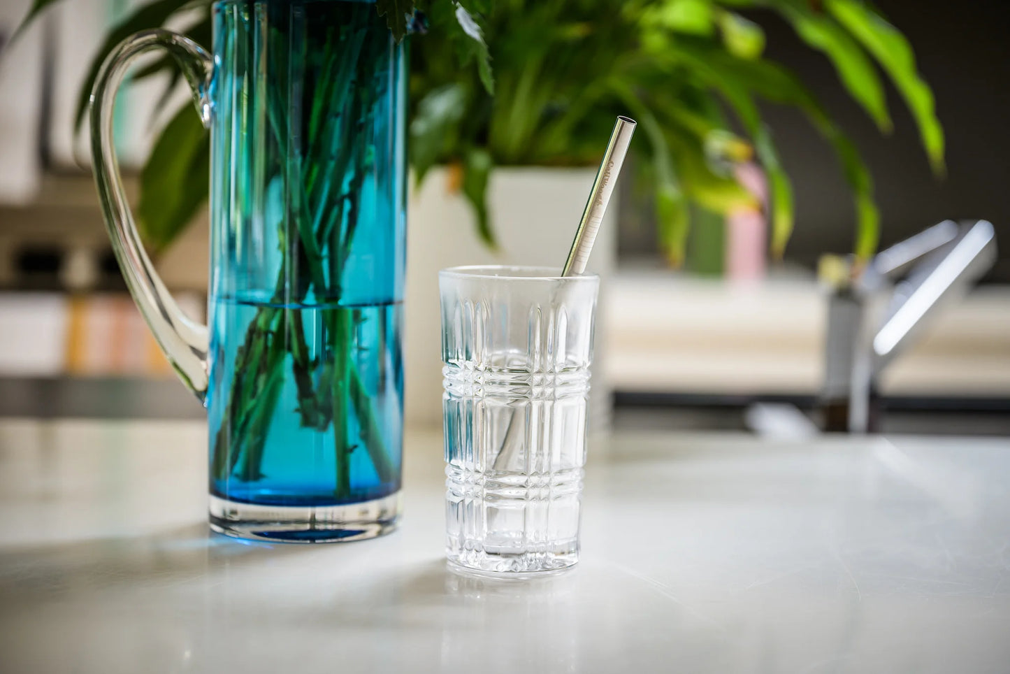 Smoothie Straw Pack | CW