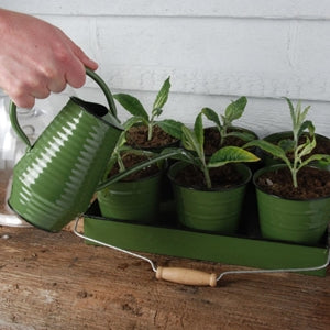 Watering Can Indoor | REVOLOGY