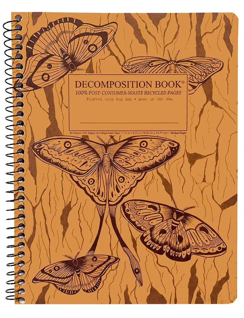 Notebook | DECOMPOSITION