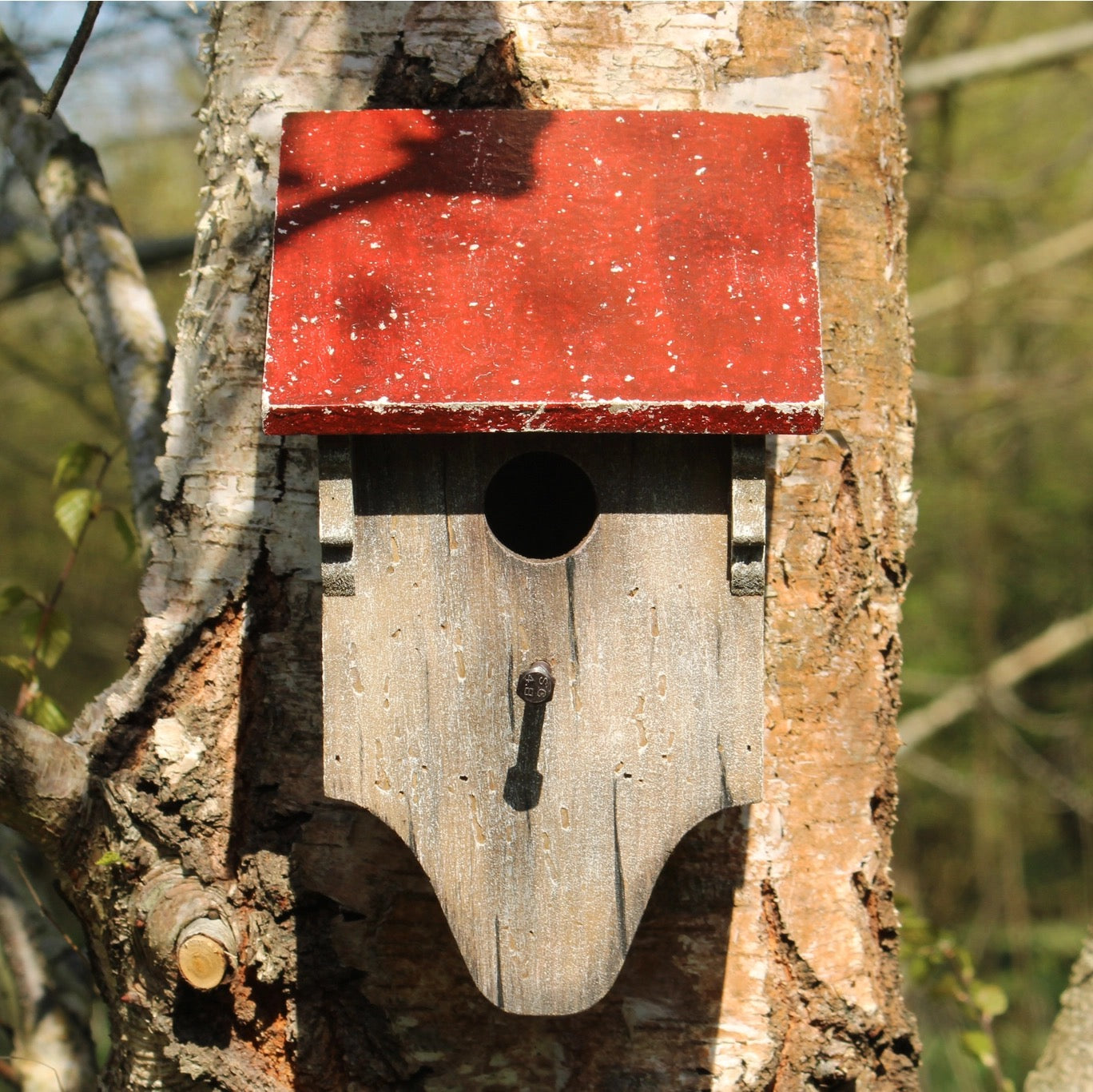 Rustic Wooden Bird House | REVOLOGY