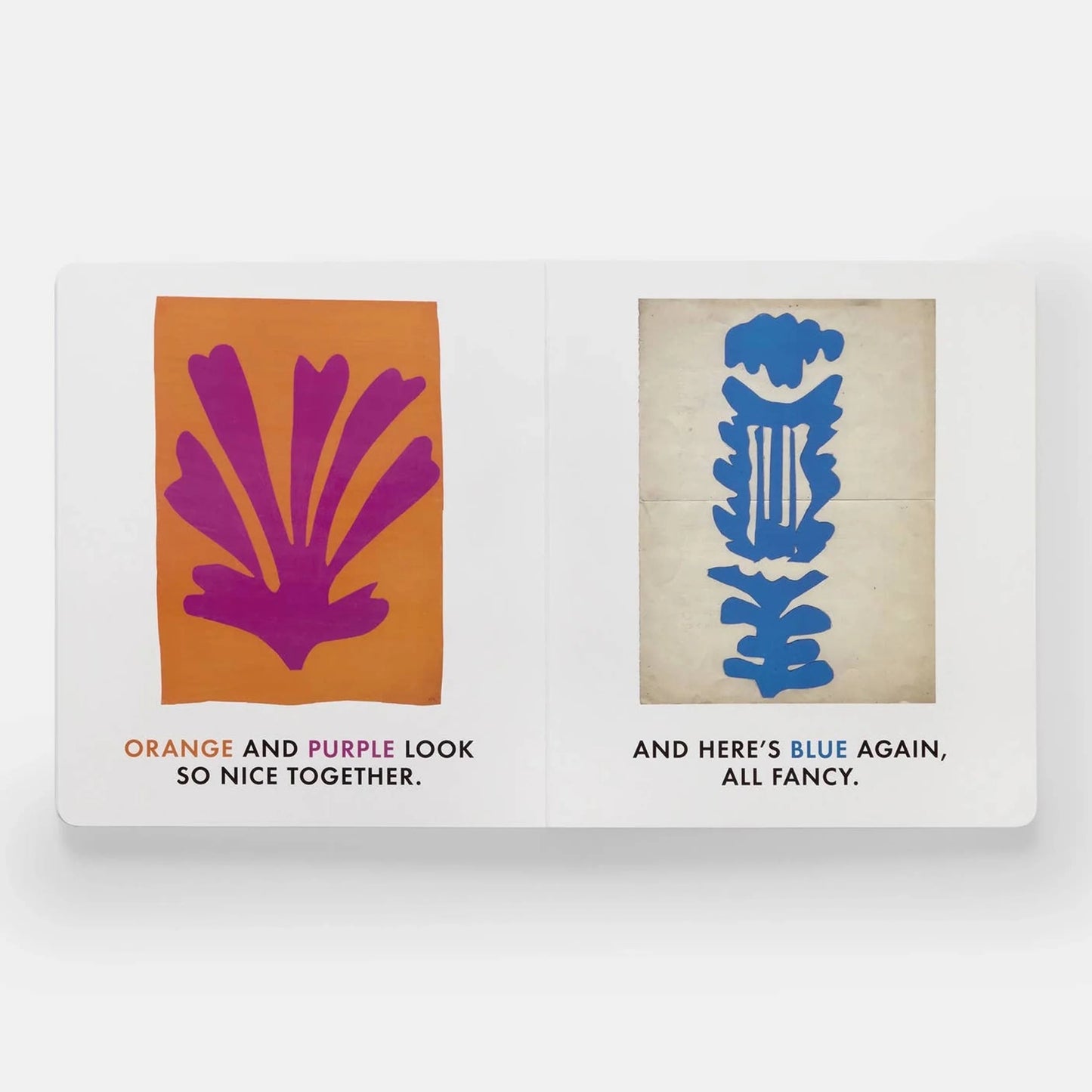 Blue & Other Colors |BOOK