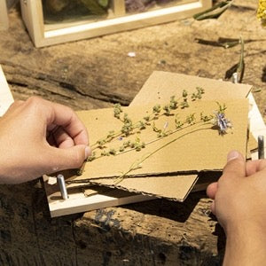 Dried Flower Press With Screws | REVOLOGY