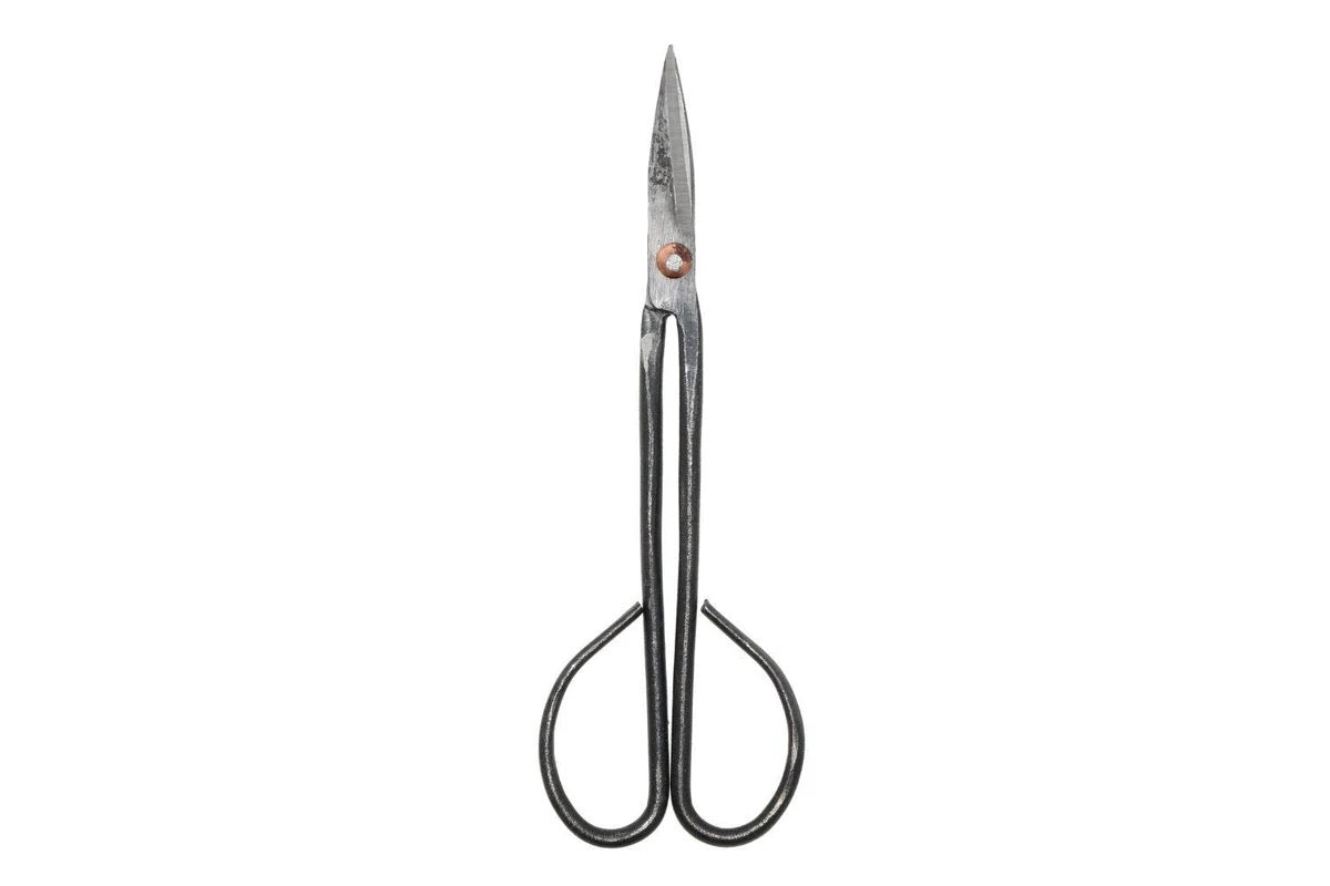 Slim Twig Shears Carbon Steel Scissor | REVOLOGY