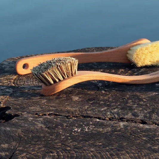 DISH BRUSH WOOD | REVOLOGY