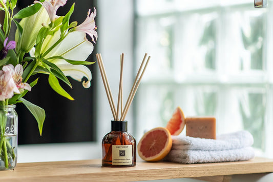 SANDALWOOD AND CEDAR – DIFFUSER | REVOLOGY
