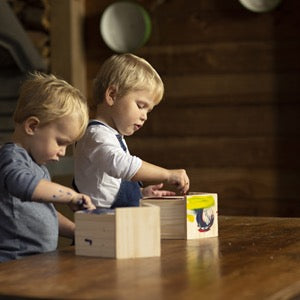 Kids Nesting Box w/Paint | paint own birdhouse | REVOLOGY