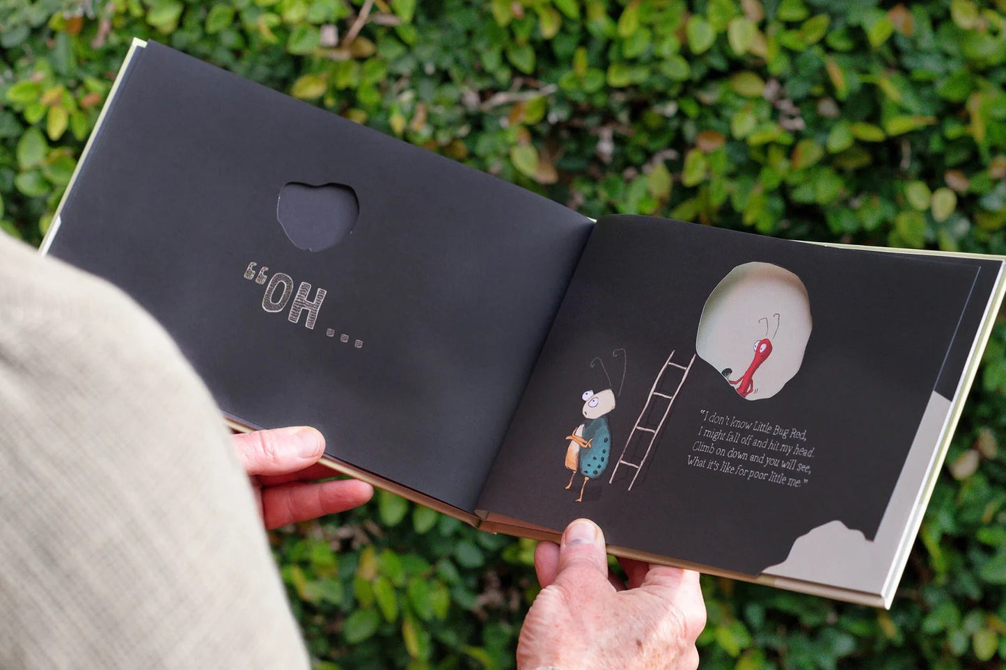 TWO LITTLE BUGS | MARK SOMMERSET