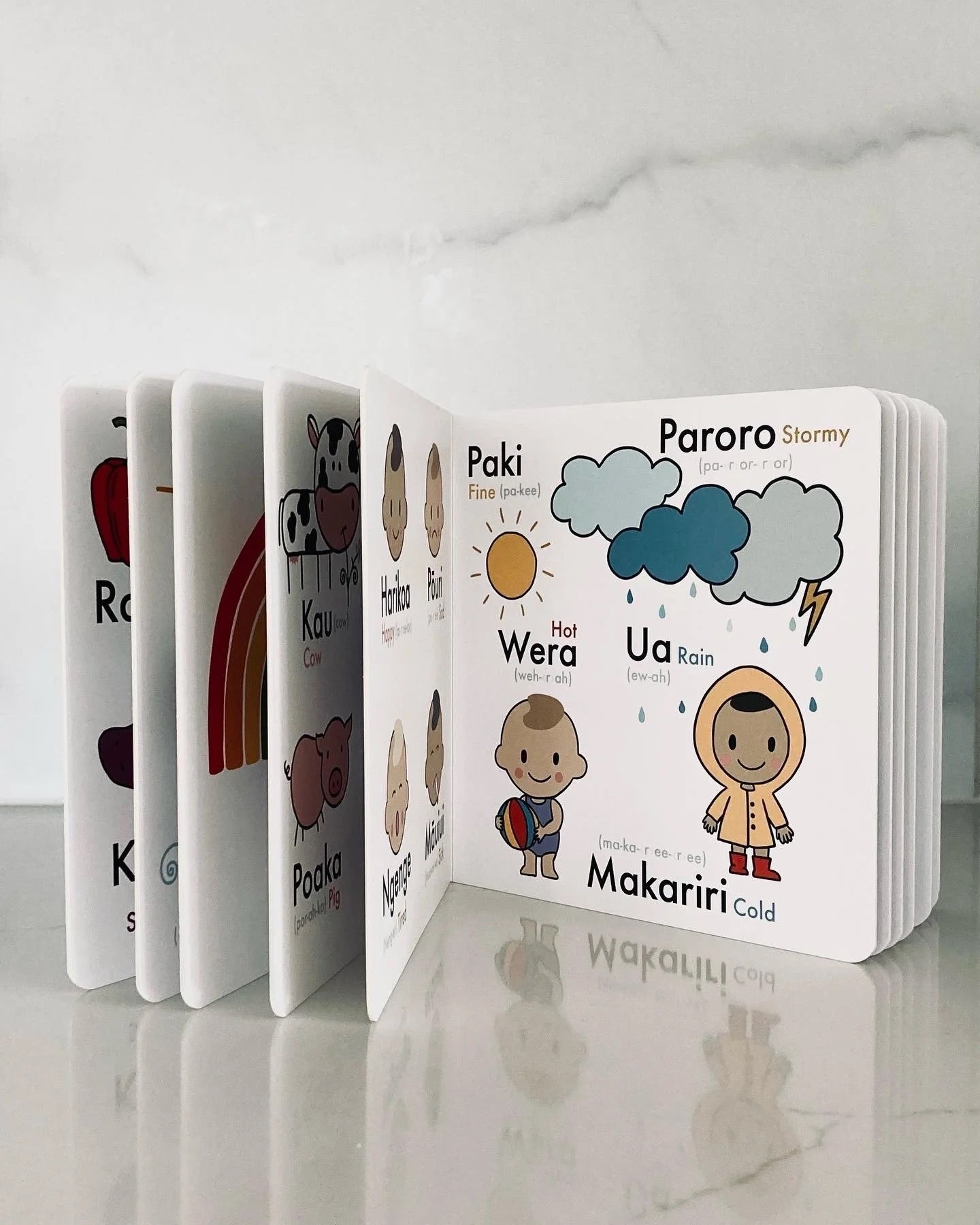 My First Reo Māori Picture Dictionary | BOOK