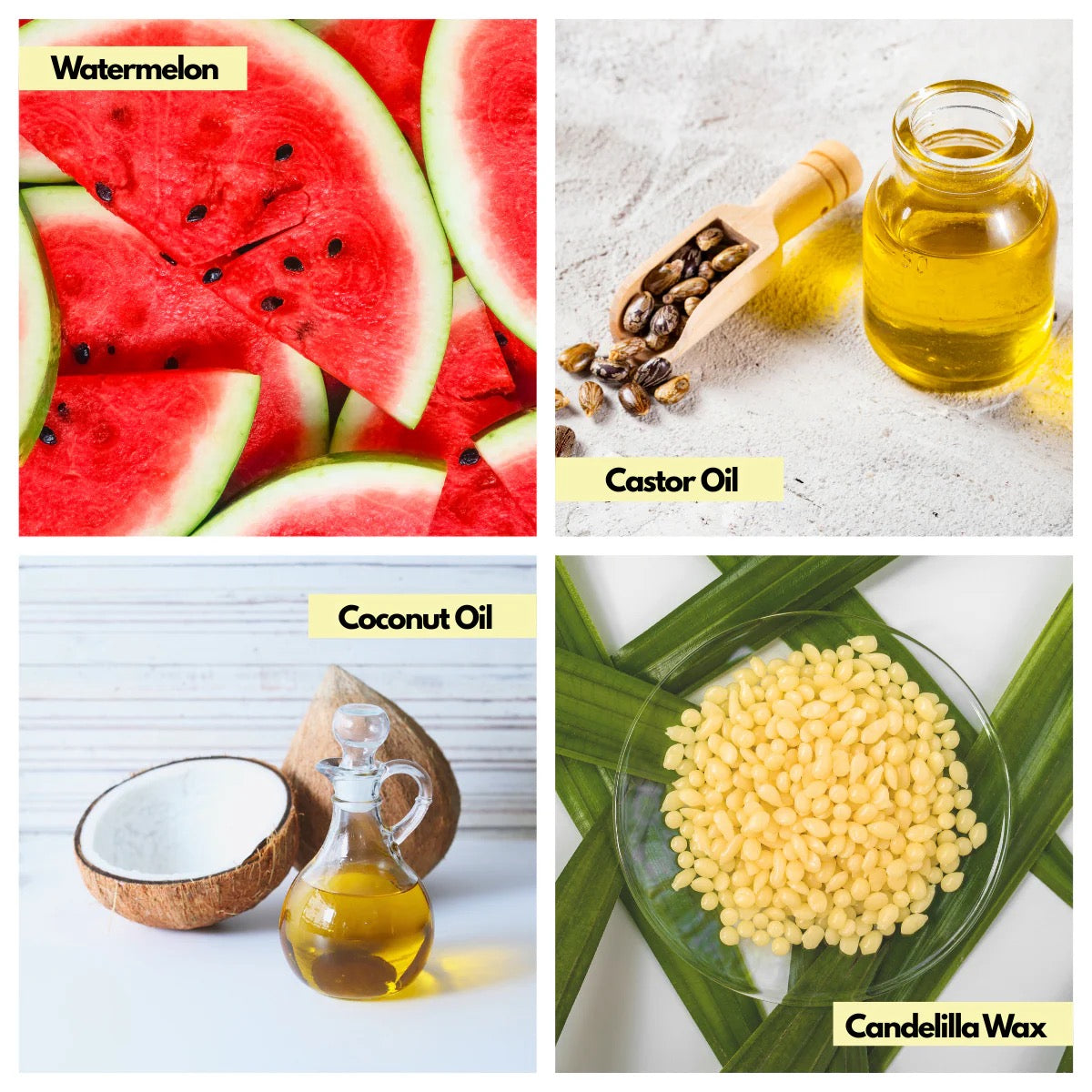 Sports Performance SPF 40 Mineral Sunscreen | SOL GOODS