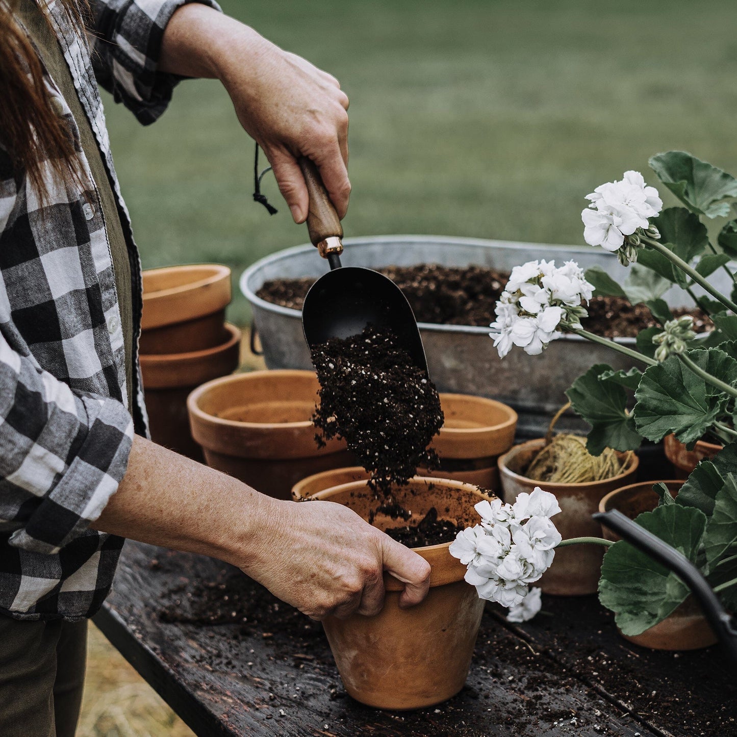 Garden Scoop Walnut | BAREBONES