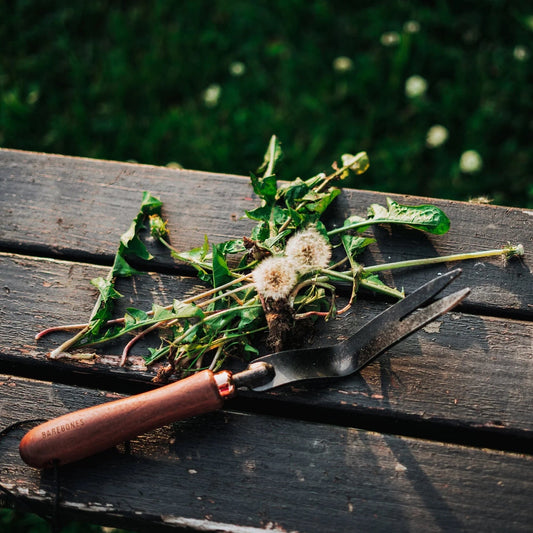 Weeding Fork | BAREBONES