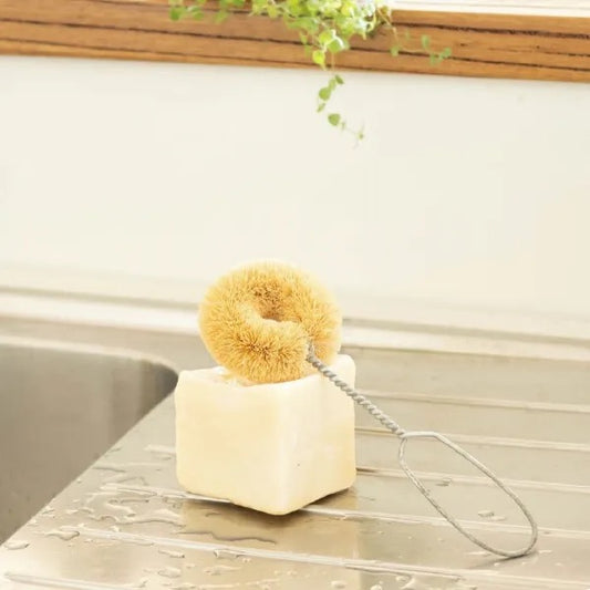 DISH BRUSH | REVOLOGY