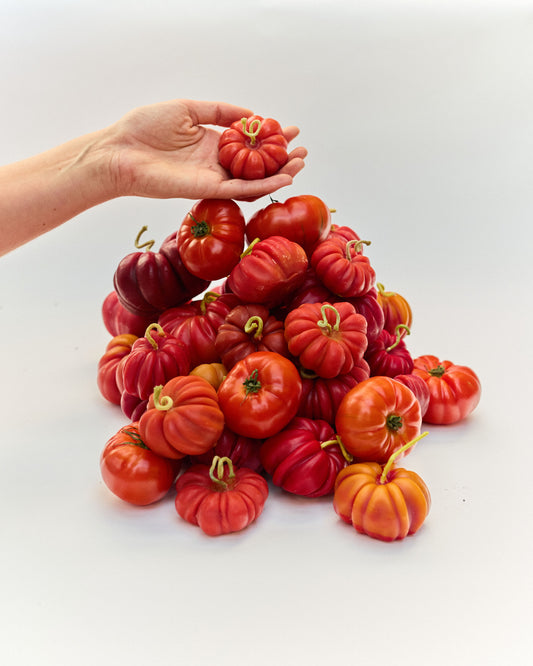 Heirloom Tomato - Beeswax Candle |