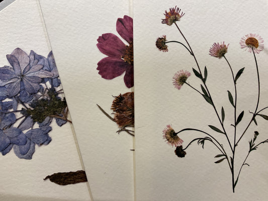 Botanic Flower Card | BT